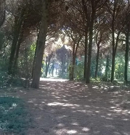 Barbara Lido di Spina